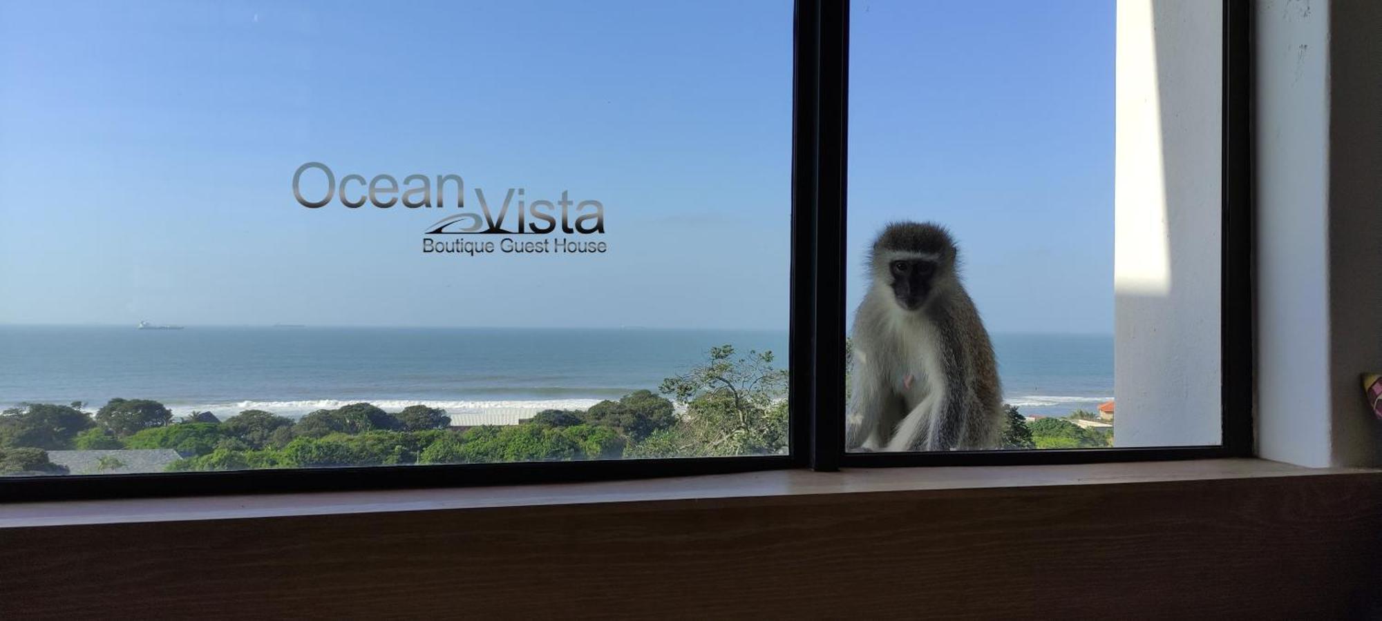 Ocean Vista Boutique Guest House Durban Buitenkant foto