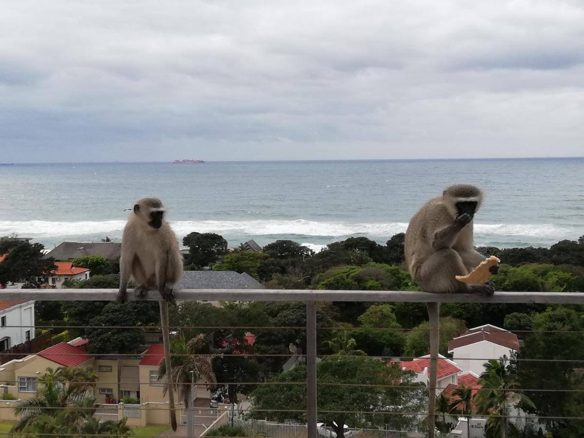 Ocean Vista Boutique Guest House Durban Buitenkant foto